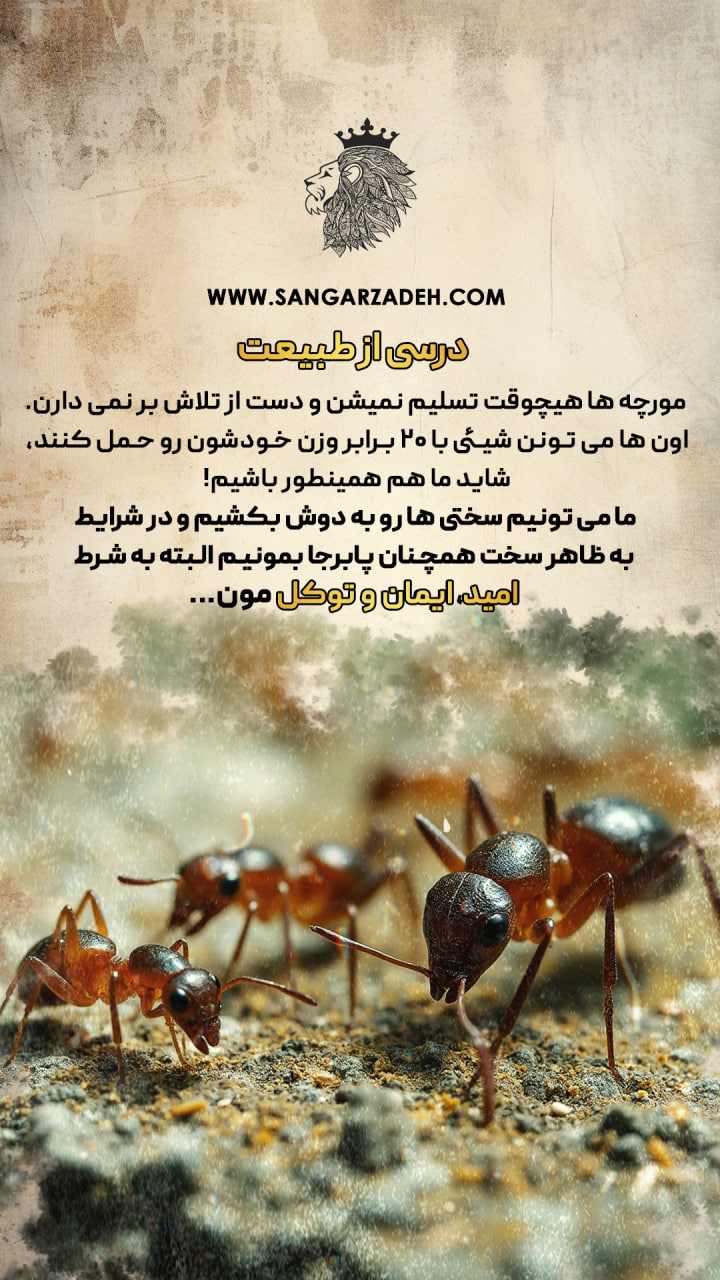 Story Image